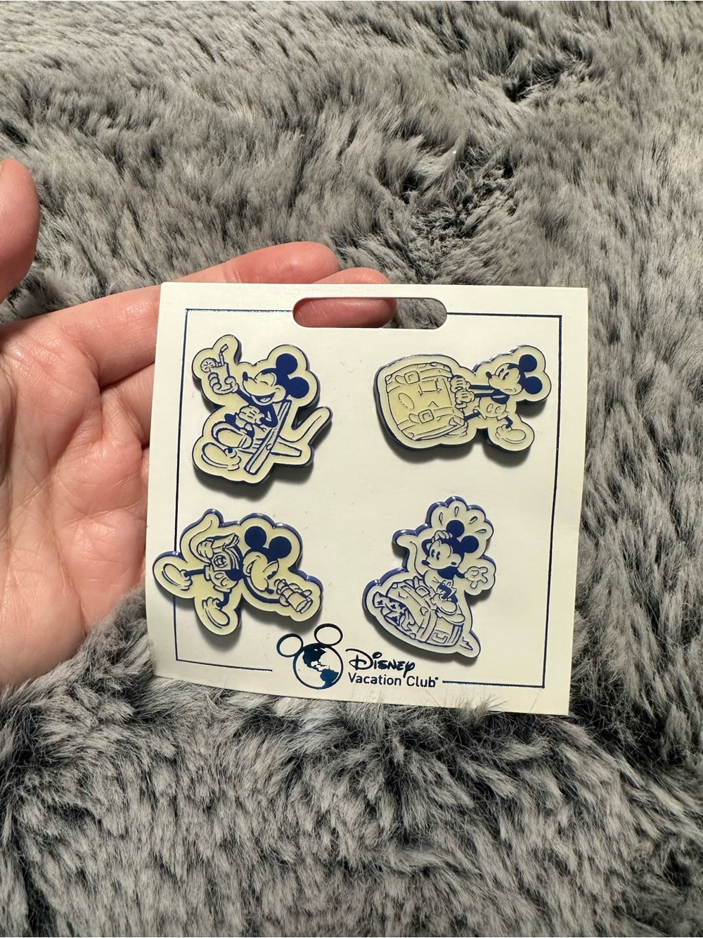 Disney Parks DVC Pin Set